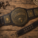Wrestling championship belt on a wooden surface
