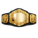 Gold championship belt with black leather straps on a white background