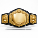 Black and gold championship belt on a white background