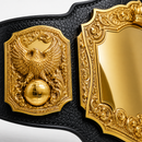 Decorative belt buckle with gold eagle emblem and globe on black leather strap