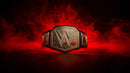 Custom Championship Belt | Personalized Wrestling & Martial Arts Title Belts | LEVIX