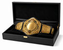 Gold championship belt in a black display box on a white background