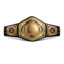 WWE championship belt on a white background