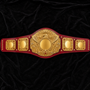 Gold championship belt with red leather straps on a black velvet background