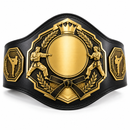 Black and gold championship belt with martial arts designs on a white background