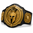 Decorative belt with gold Spartan helmet design on a white background