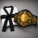 Black belt and championship belt on a gray background