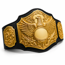 Decorative belt with gold emblem featuring an eagle on a white background